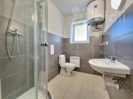 Pronájem bytu, 1+kk, 30 m²