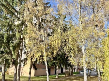 Pronájem bytu, 2+1, 48 m²