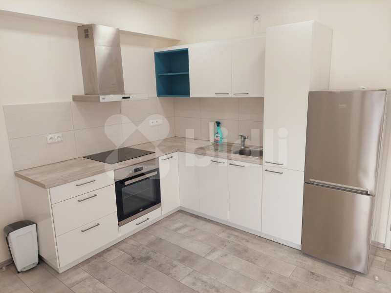 Pronájem bytu 2+kk 55 m2 v Berouně - Závodí