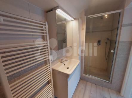 Pronájem bytu, 2+kk, 65 m²