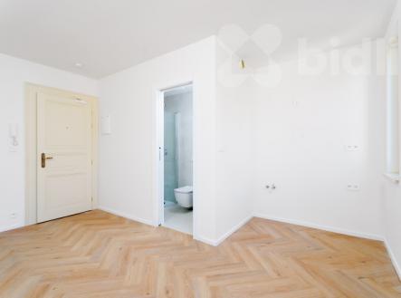 Prodej bytu, 1+kk, 16 m²