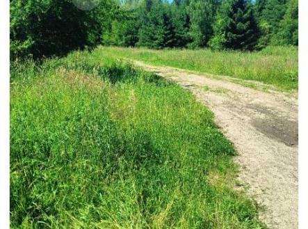 Prodej pozemku, trvalý travní porost, 2 923 m²