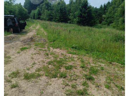 Prodej pozemku, trvalý travní porost, 2 923 m²