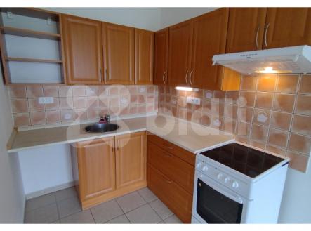 Pronájem bytu, 1+kk, 45 m²