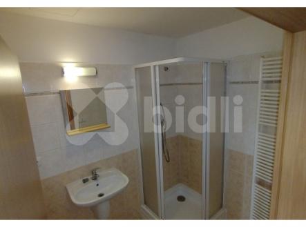 Pronájem bytu, 1+kk, 45 m²