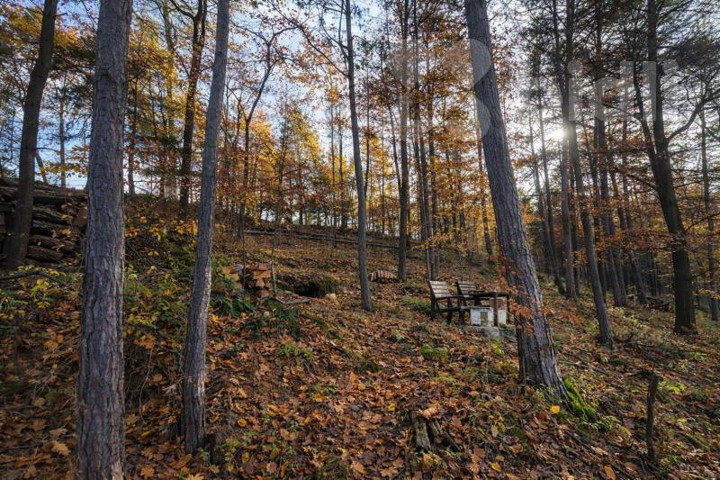 Prodej pozemku 1467 m2