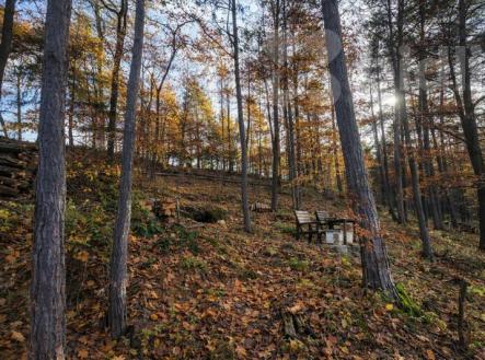 Prodej pozemku, ostatní, 1 467 m²