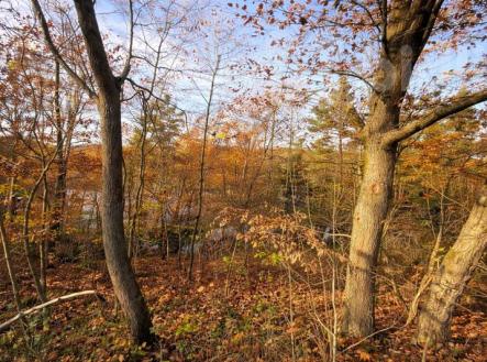 Prodej pozemku, ostatní, 1 467 m²