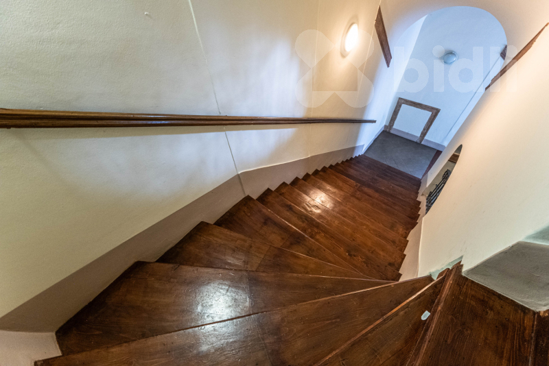 Fotku se nepodařilo načíst.