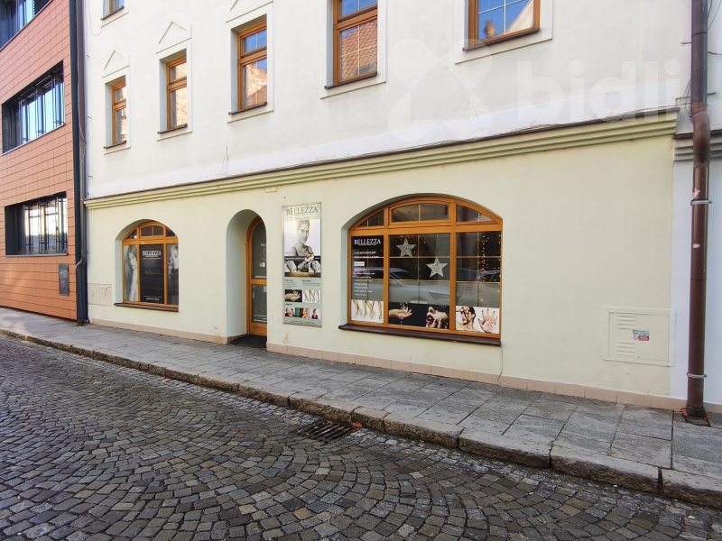 Prodej komerčního prostoru 103 m2, Plachého ul.