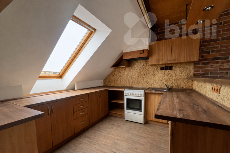 Pronájem prostorného bytu 1+kk v Suchém Vrbném v Českých Budějovicích