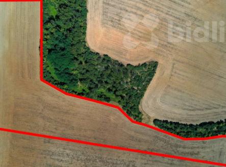 Prodej pozemku, zemědělská půda, 59 663 m²