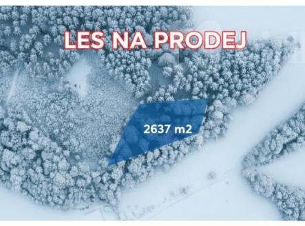 Prodej pozemku, les, 2 637 m²