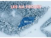 Prodej pozemku, les, 2 637 m²