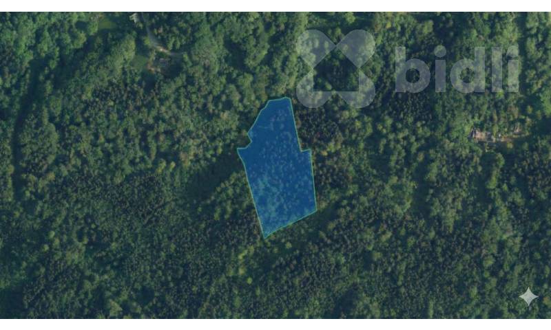 Prodej lesního pozemku 15 892 m2 - Bohdalovice u Velkých Hamrů