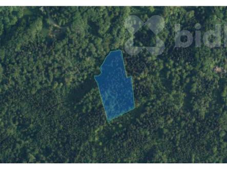Prodej pozemku, les, 15 892 m²