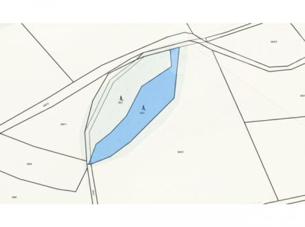 Prodej pozemku, les, 2 572 m²