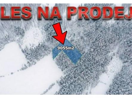 Prodej pozemku, les, 9 055 m²