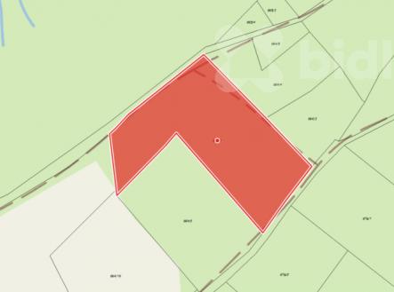 Prodej pozemku, les, 9 055 m²