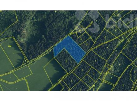 Prodej pozemku, les, 9 055 m²