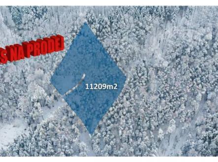 Prodej pozemku, les, 11 209 m²