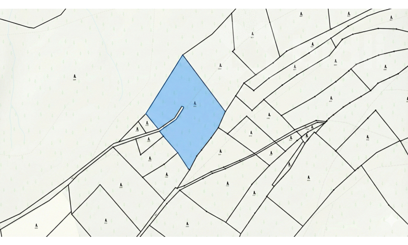 Prodej lesního pozemku 11 209 m2 - Bohdalovice u Velkých Hamrů