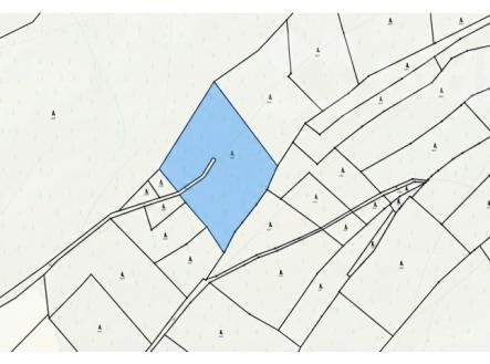 Prodej pozemku, les, 11 209 m²