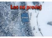 Prodej pozemku, les, 6 734 m²