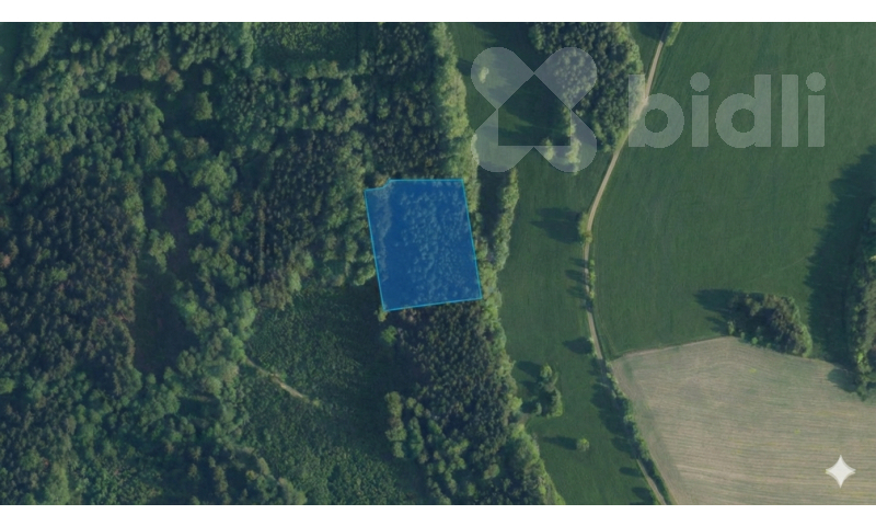 Prodej lesního pozemku 6 734 m2 - Zlatá Olešnice Navarovská