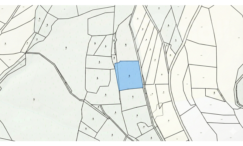 Prodej lesního pozemku 6 734 m2 - Zlatá Olešnice Navarovská