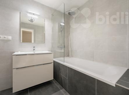 Pronájem bytu, 2+kk, 53 m²