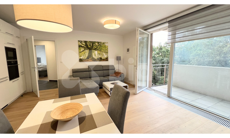 Pronájem 2+kk, 60 m2 + parkovací stání + balkon + sklep v moderním domě