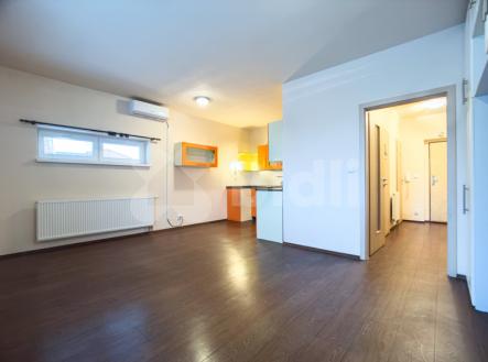 Pronájem bytu, 1+kk, 43 m²