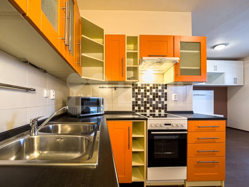 Prostorný byt 1+kk, 43 m2, Tlučná