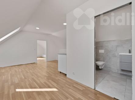 Prodej nájemního domu, 195 m²