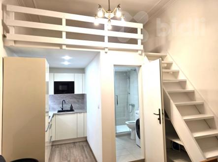 Pronájem bytu, 1+kk, 27 m²