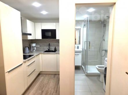 Pronájem bytu, 1+kk, 27 m²