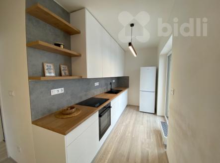 Pronájem bytu, 2+kk, 54 m²