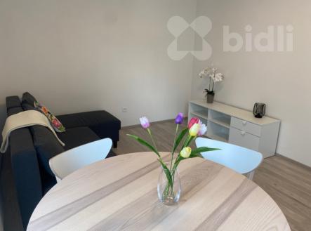 Pronájem bytu, 2+kk, 54 m²