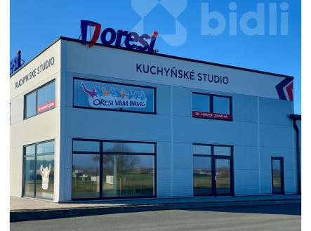 Pronájem obchodní prostor, 490 m²