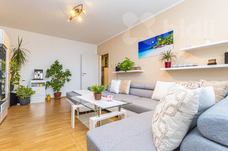 Prodej bytu 3+1 65 m2