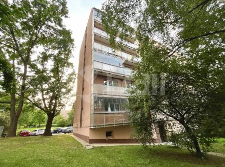 Pronájem bytu, 2+1, 61 m²