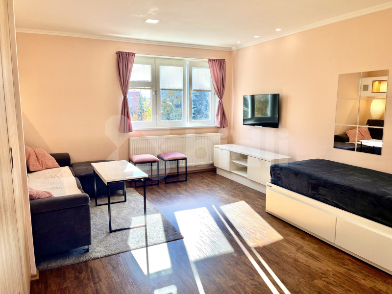 Pronájem bytu 2+1 v Malešicích, Praha 10