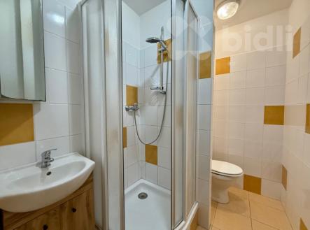 Pronájem bytu, 2+kk, 39 m²