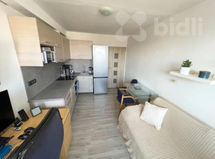 Prodej bytu, 2+kk, 47 m²