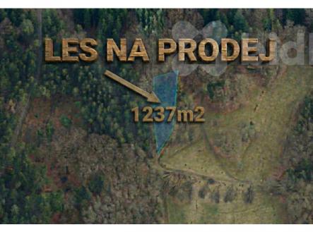 Prodej pozemku, les, 1 237 m²