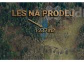 Prodej pozemku, les, 1 237 m²