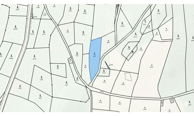 Lesní pozemek 1 237 m2 - Šumburk nad Desnou