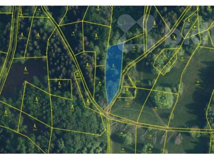 Prodej pozemku, les, 1 237 m²