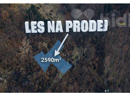 Prodej pozemku, les, 2 590 m²